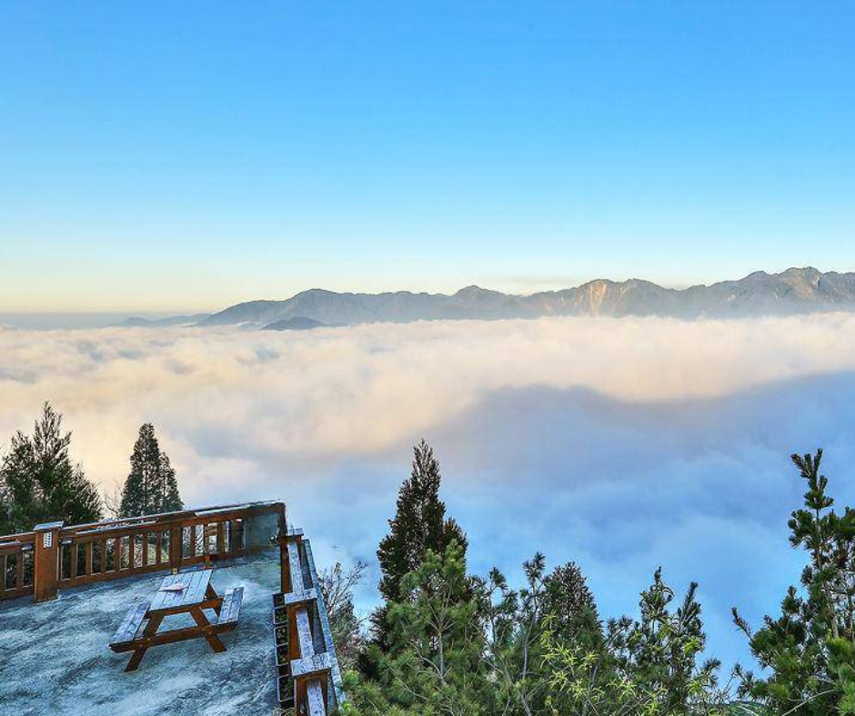 【大中巴限定】新竹D雪霸農場避暑遊