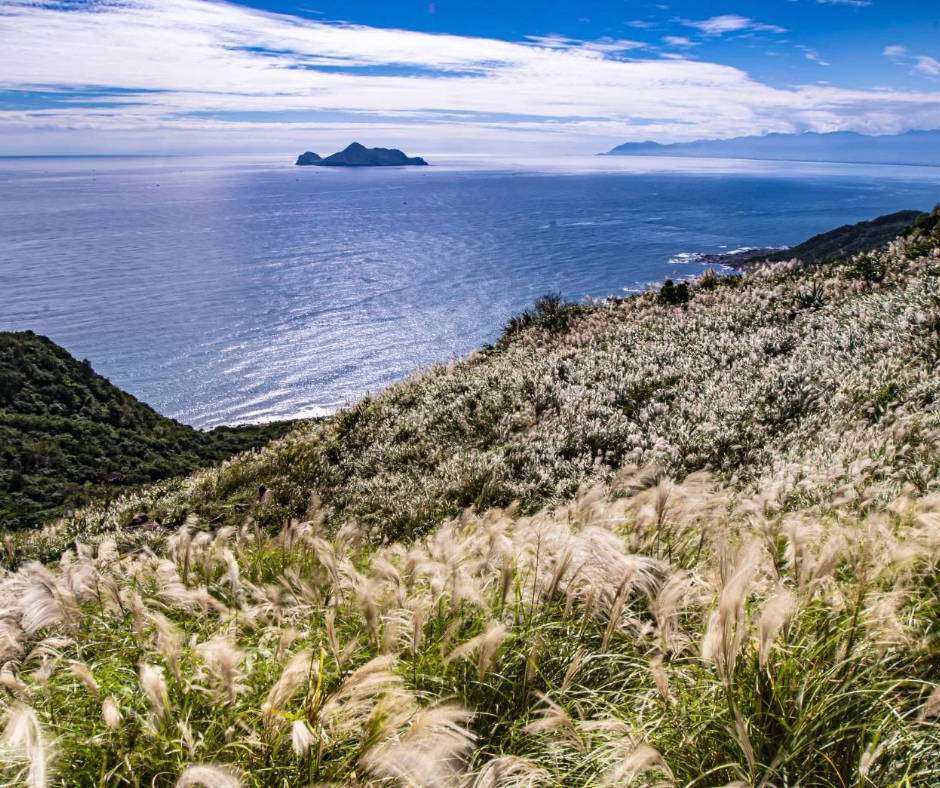 秋芒溫泉瓏山林悠旅二日